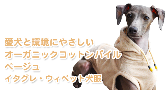お客様からのメッセージ 驚き 全犬種中最速 サルーキちゃん のお洋服をご注文いただいた Arata House