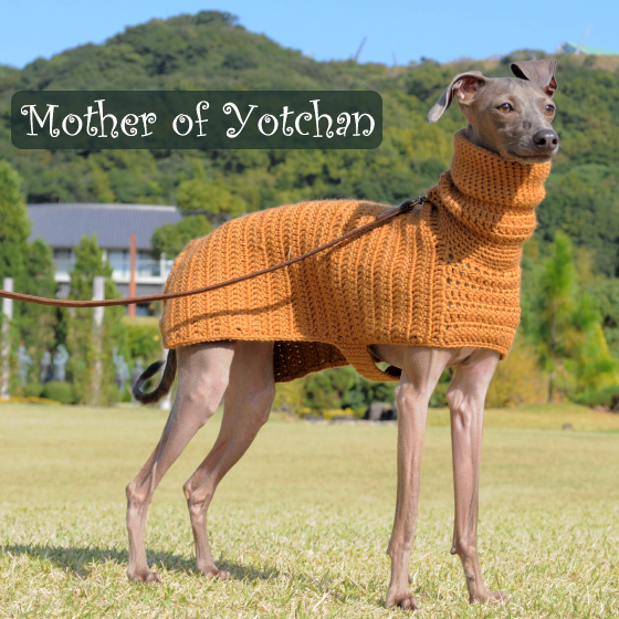 母の手でウール100%の毛糸を編んだ手作りのPoncho。寒い冬にほっかほっかイタグレBuono!ポンチョで笑顔になる。