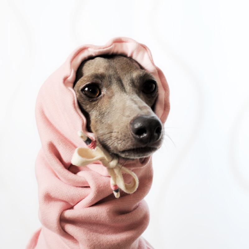 イタグレ・ウィペット犬服|お耳ぬくぬくスヌード&ネックウォーマー|選べる3カラー(ポピーレッド/桜色/イタグレグレイ)