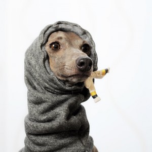 イタグレ・ウィペット犬服|お耳ぬくぬくスヌード&ネックウォーマー|選べる3カラー(ポピーレッド/桜色/イタグレグレイ)