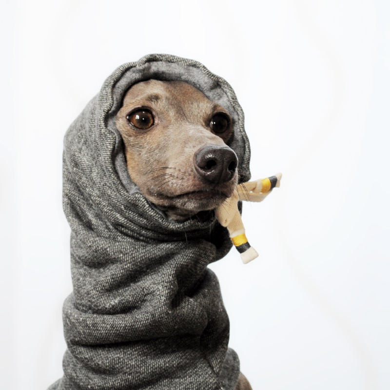 イタグレ・ウィペット犬服|お耳ぬくぬくスヌード&ネックウォーマー|選べる3カラー(ポピーレッド/桜色/イタグレグレイ)