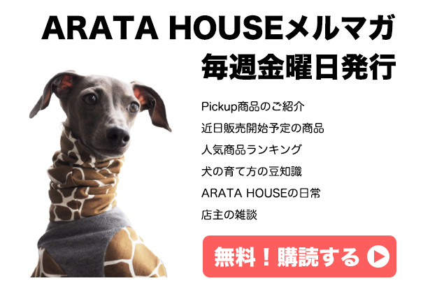 バックナンバー 14 08 22発行 Arata Houseメルマガ Vol 2 夏休み Arata House