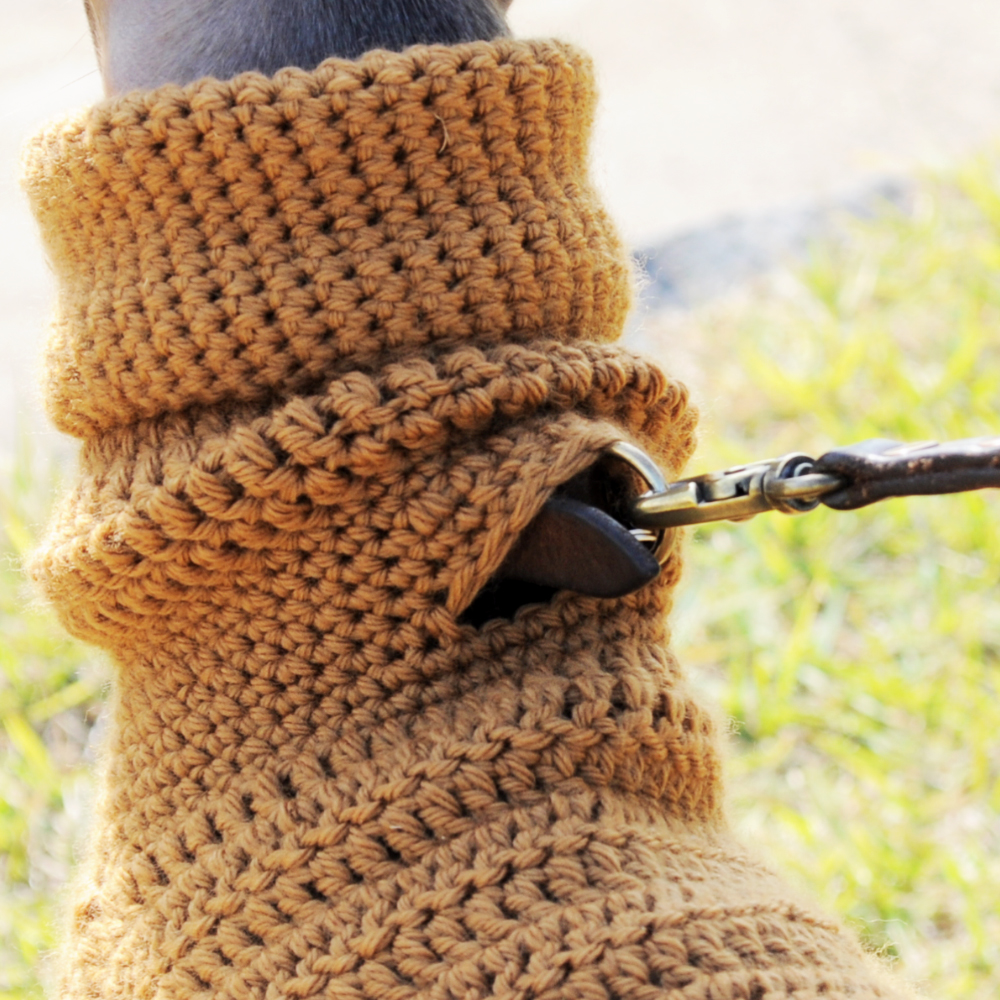 「イタグレポンチョ」デザインと役立つ機能のご紹介