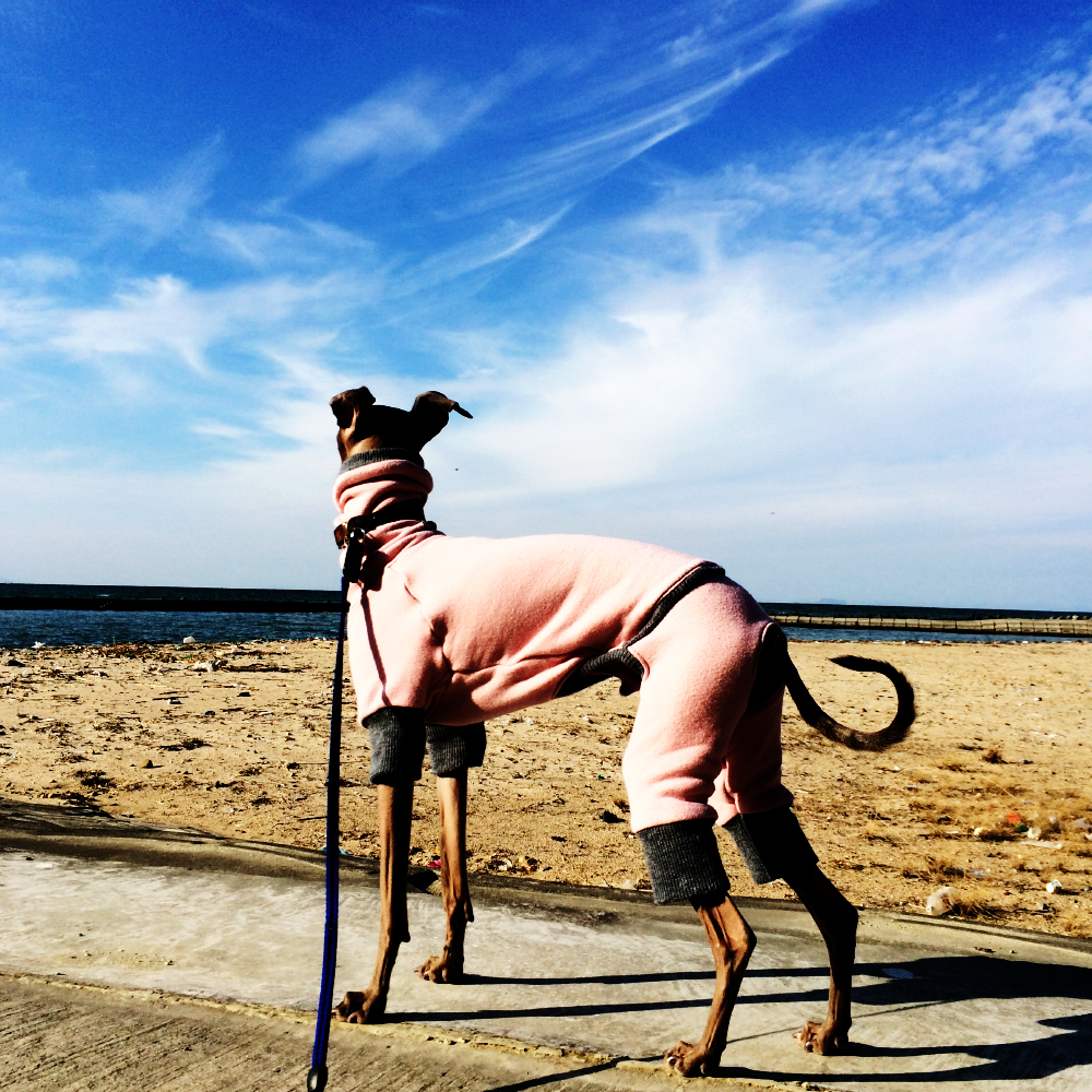 淡路島を歩く｜山、空、雲、砂浜、海、漁港をのんびり散歩