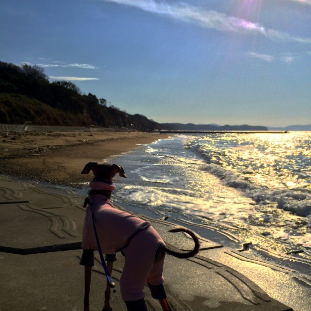 淡路島を歩く｜山、空、雲、砂浜、海、漁港をのんびり散歩