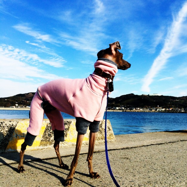 淡路島を歩く｜山、空、雲、砂浜、海、漁港をのんびり散歩