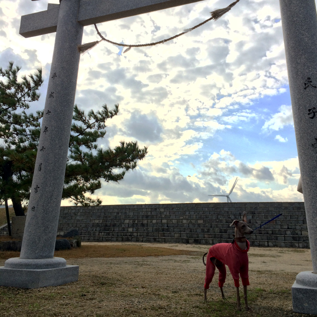 12月1日に感じたこと。「雨音の心地よさ」