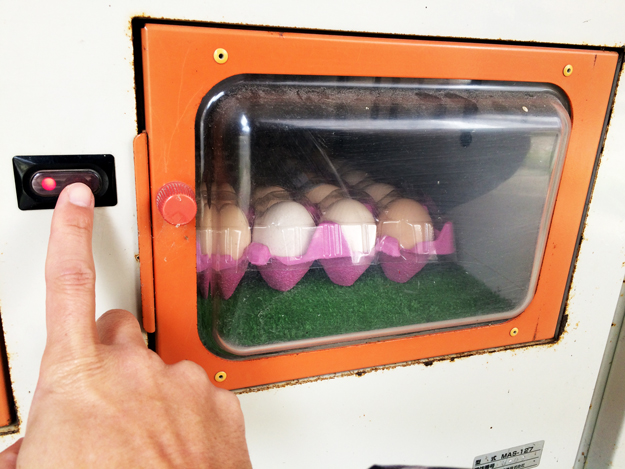 淡路島のたまご|自動販売機で売ってる新鮮卵@北坂養鶏場