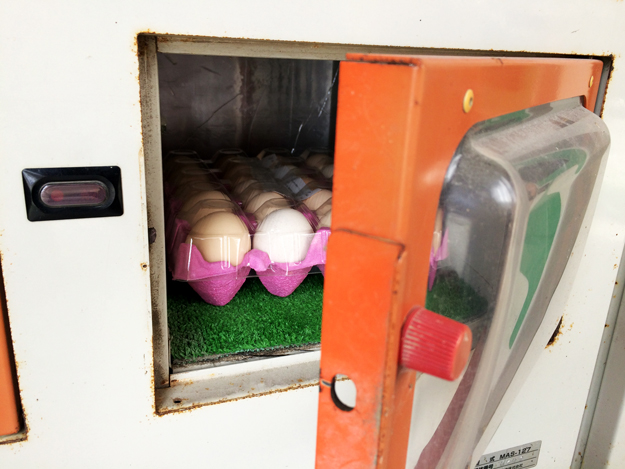 淡路島のたまご|自動販売機で売ってる新鮮卵@北坂養鶏場