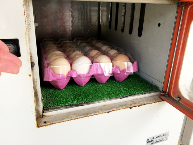 淡路島のたまご|自動販売機で売ってる新鮮卵@北坂養鶏場