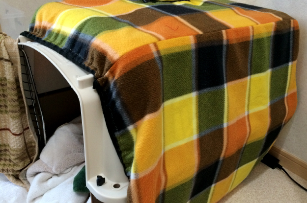 ”愛犬”イタグレ骨折治療365日の備忘録｜原因・治療・現在｜バリケン