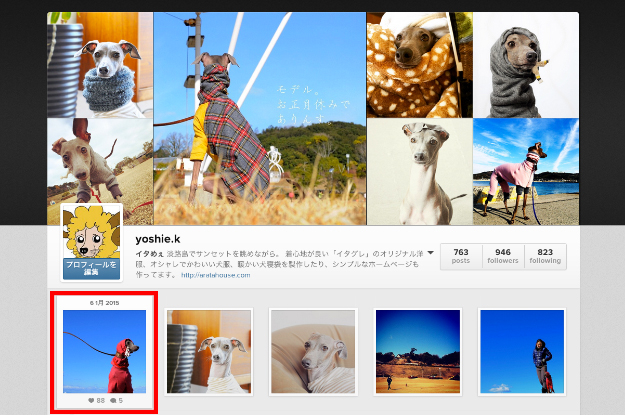 2014年12月に撮った写真の人気ベスト5を調べてみた！by Instagram｜インスタの写真をブログに掲載する方法