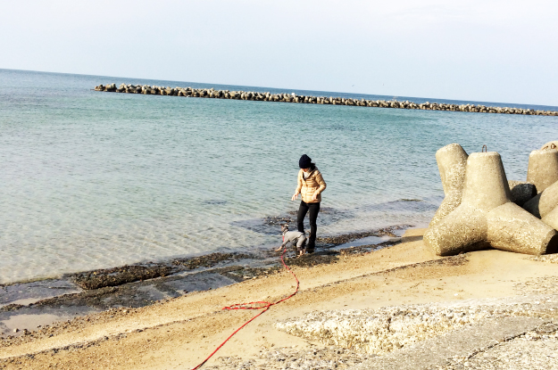 新年明けましておめでとうございます!淡路島で過すお正月