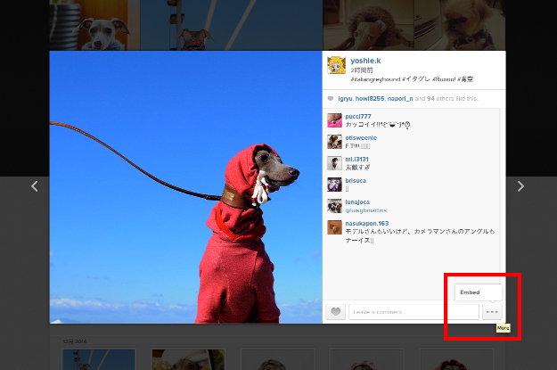2014年12月に撮った写真の人気ベスト5を調べてみた！by Instagram｜インスタの写真をブログに掲載する方法