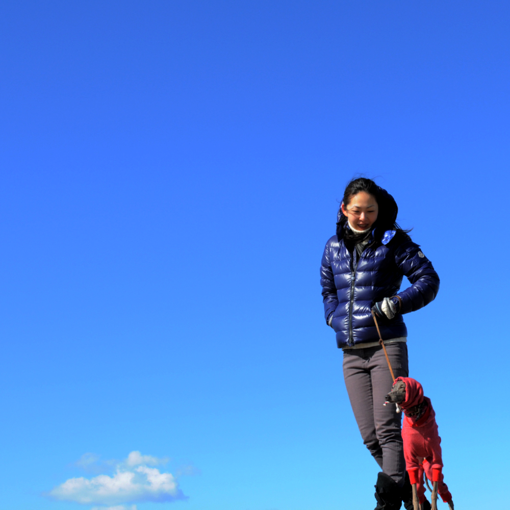 新年明けましておめでとうございます!淡路島で過すお正月