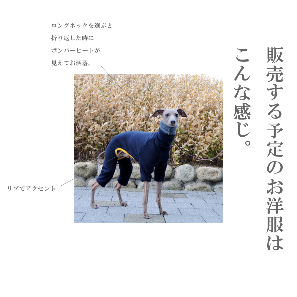  「おっちょこちょい」な、よっちゃんが、勘違いして作ったイタグレ服プレゼントします。