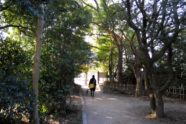 【伊弉諾神宮】国生み神話（日本発祥の地）の淡路島で感じる神聖な風