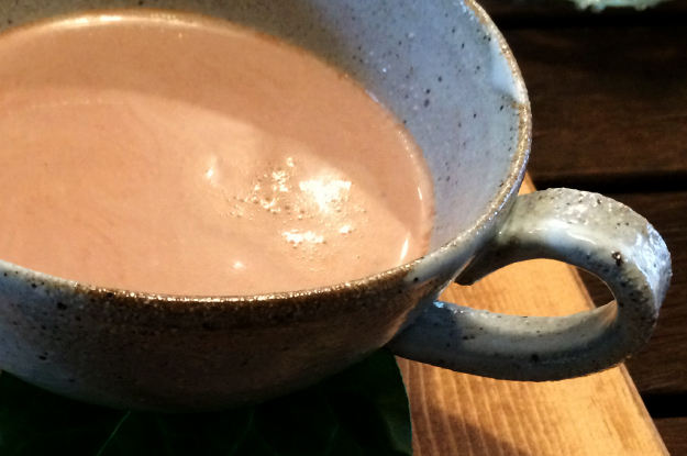 「淡路島カフェ」ラウーベの薪ストーブでホッカホッか｜犬も一緒に入店できます