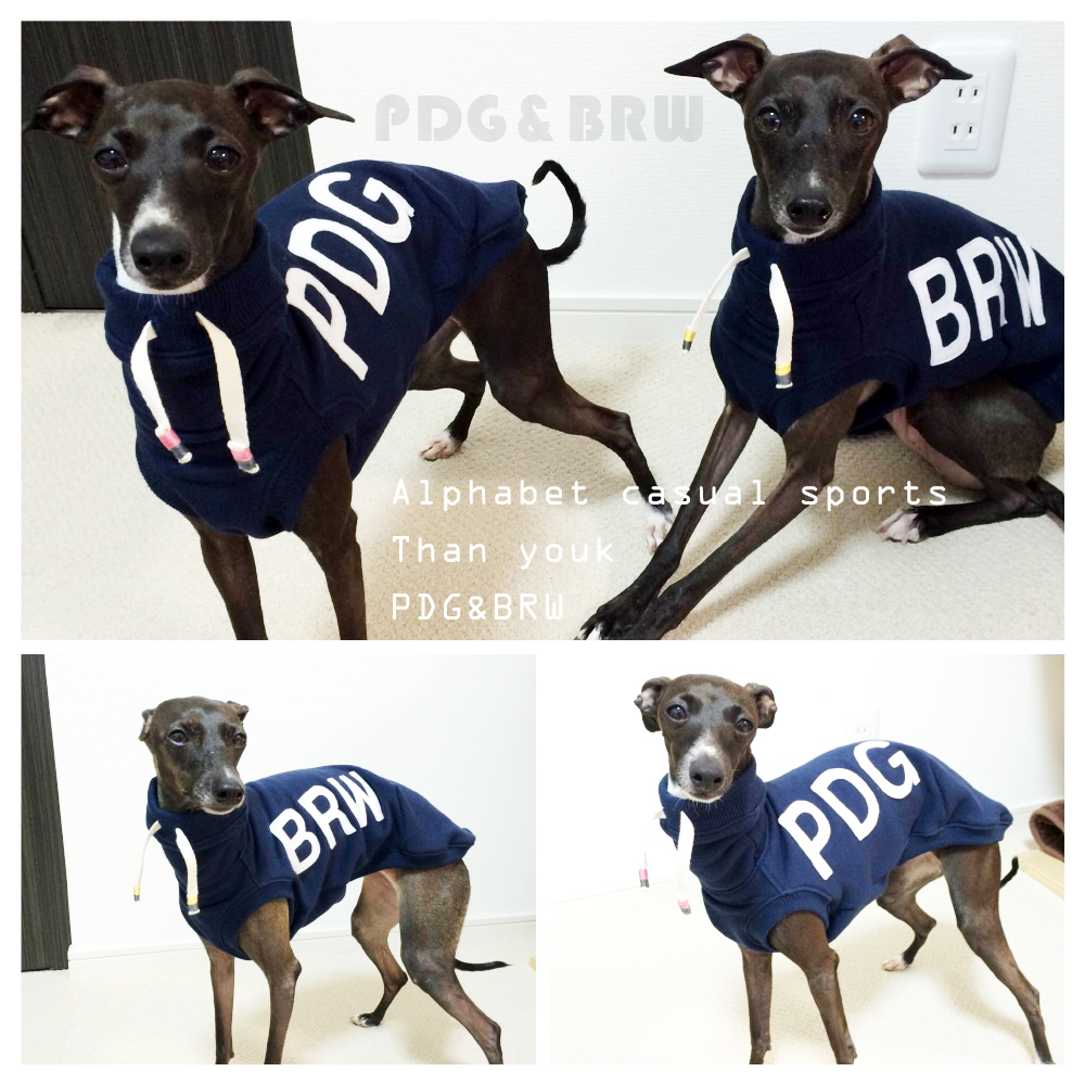 THANK YOU|PDG、BRW、JAY・・・続く!