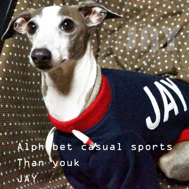 THANK YOU|PDG、BRW、JAY・・・続く!