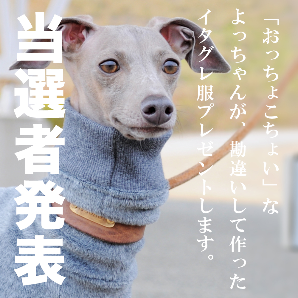 当選者発表｜「おっちょこちょい」な、よっちゃんが、勘違いして作ったイタグレ服プレゼントします。