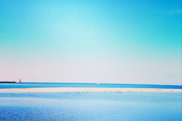 「犬服」アルファベットカジュアルスポーツの製作風景と完成したお洋服たち