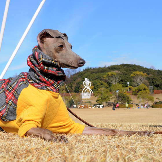 「2015年新作」イタグレ・ウィペット服｜ふわっとタータンチェック｜選べる４カラー＆８サイズ