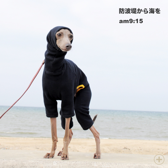 毛布に包まれたような暖かさと、優しい肌さわりが特長のボンバーヒート生地を使ったイタグレ服「ロンパース」