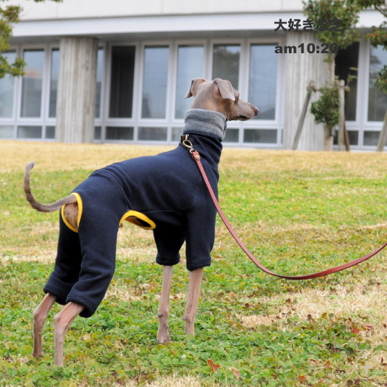 毛布に包まれたような暖かさと、優しい肌さわりが特長のボンバーヒート生地を使ったイタグレ服「ロンパース」