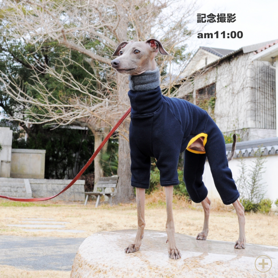 毛布に包まれたような暖かさと、優しい肌さわりが特長のボンバーヒート生地を使ったイタグレ服「ロンパース」