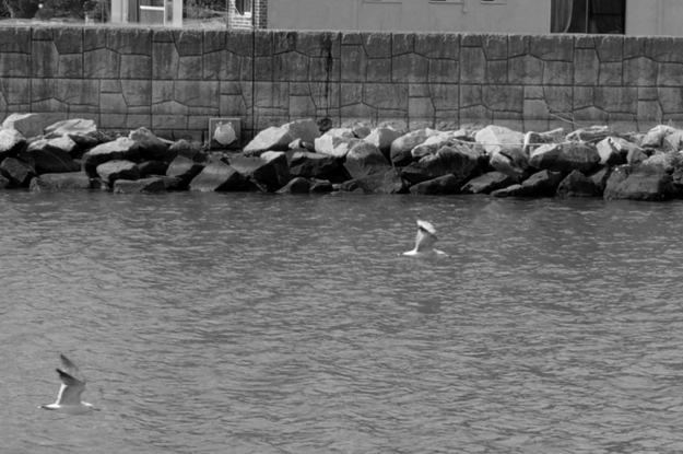 淡路島の町を散歩中、何やら不穏な気配を感じたので振り返ってみると!!