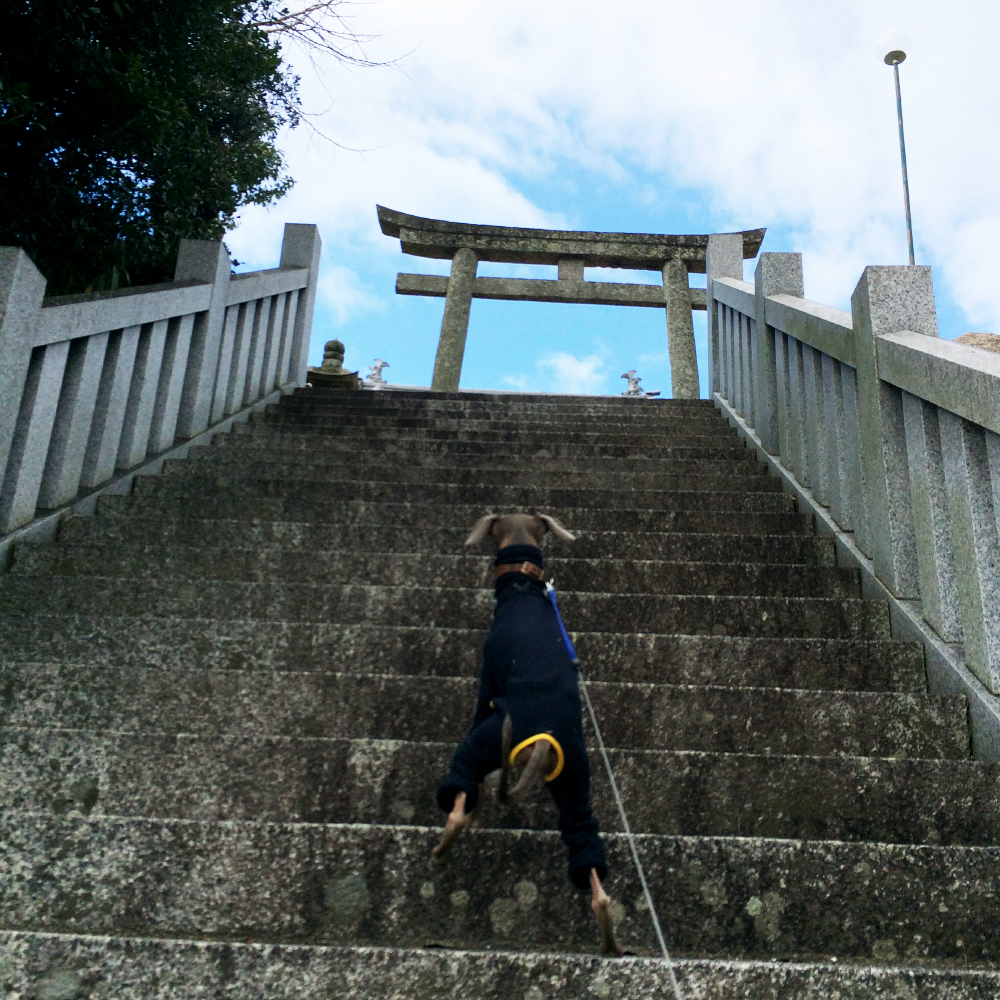 2月1日に感じたこと。「心躍らせ一歩一歩」