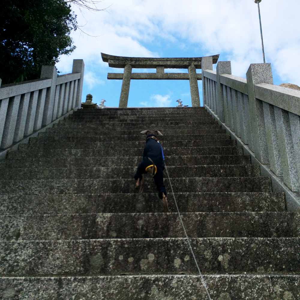 2月1日に感じたこと。「心躍らせ一歩一歩」