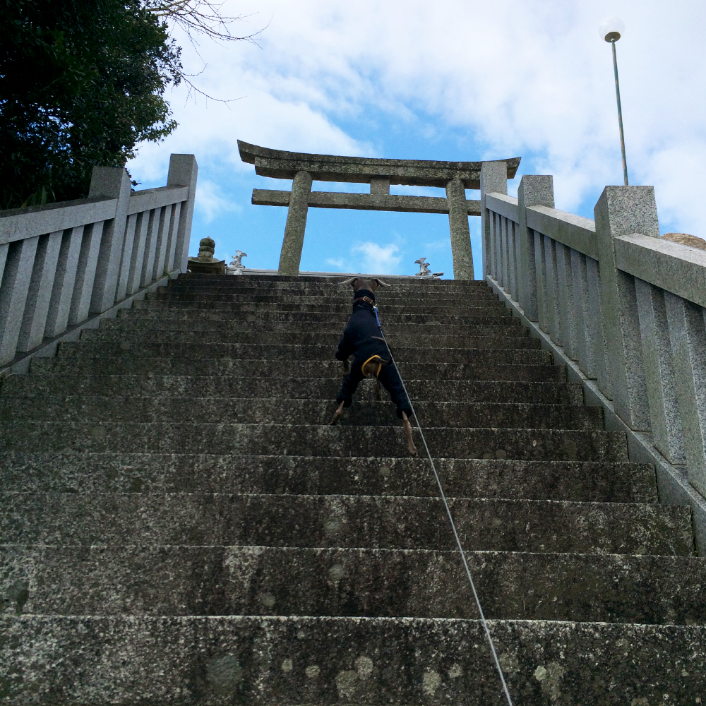 2月1日に感じたこと。「心躍らせ一歩一歩」