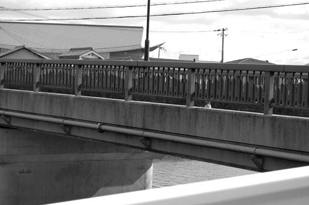 淡路島の町を散歩中、何やら不穏な気配を感じたので振り返ってみると!!