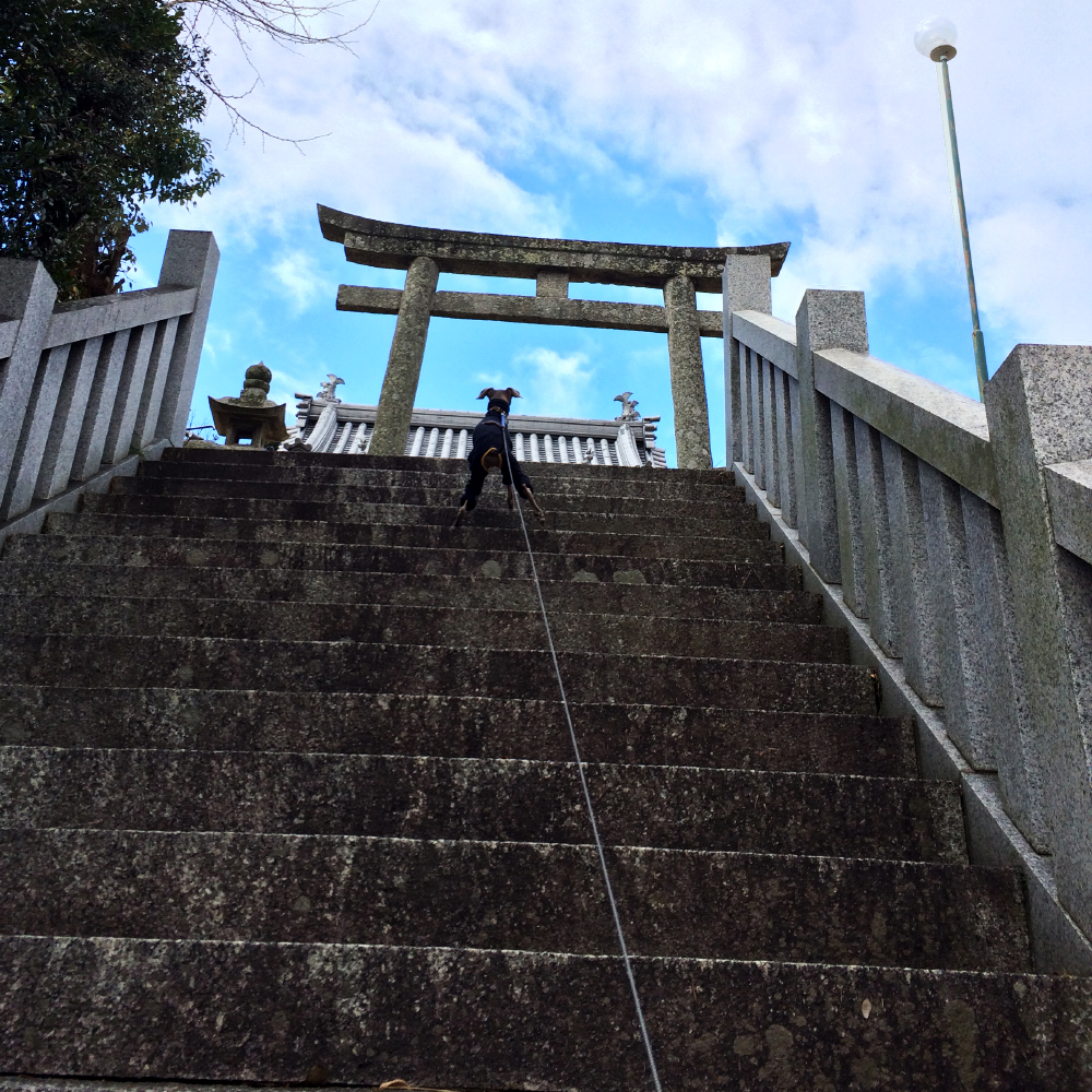 2月1日に感じたこと。「心躍らせ一歩一歩」