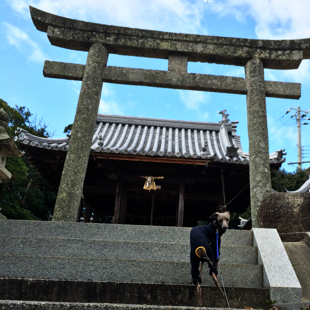 2月1日に感じたこと。「心躍らせ一歩一歩」