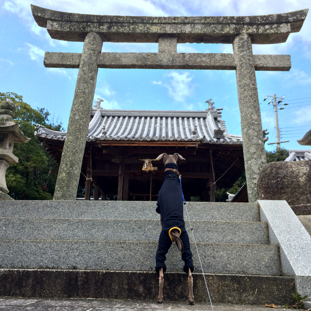 2月1日に感じたこと。「心躍らせ一歩一歩」