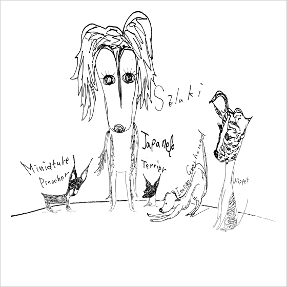 「ミニピン」「サルーキ」「日本テリア」「イタグレ」「ウィペット」みんな個性あるなあ〜♥