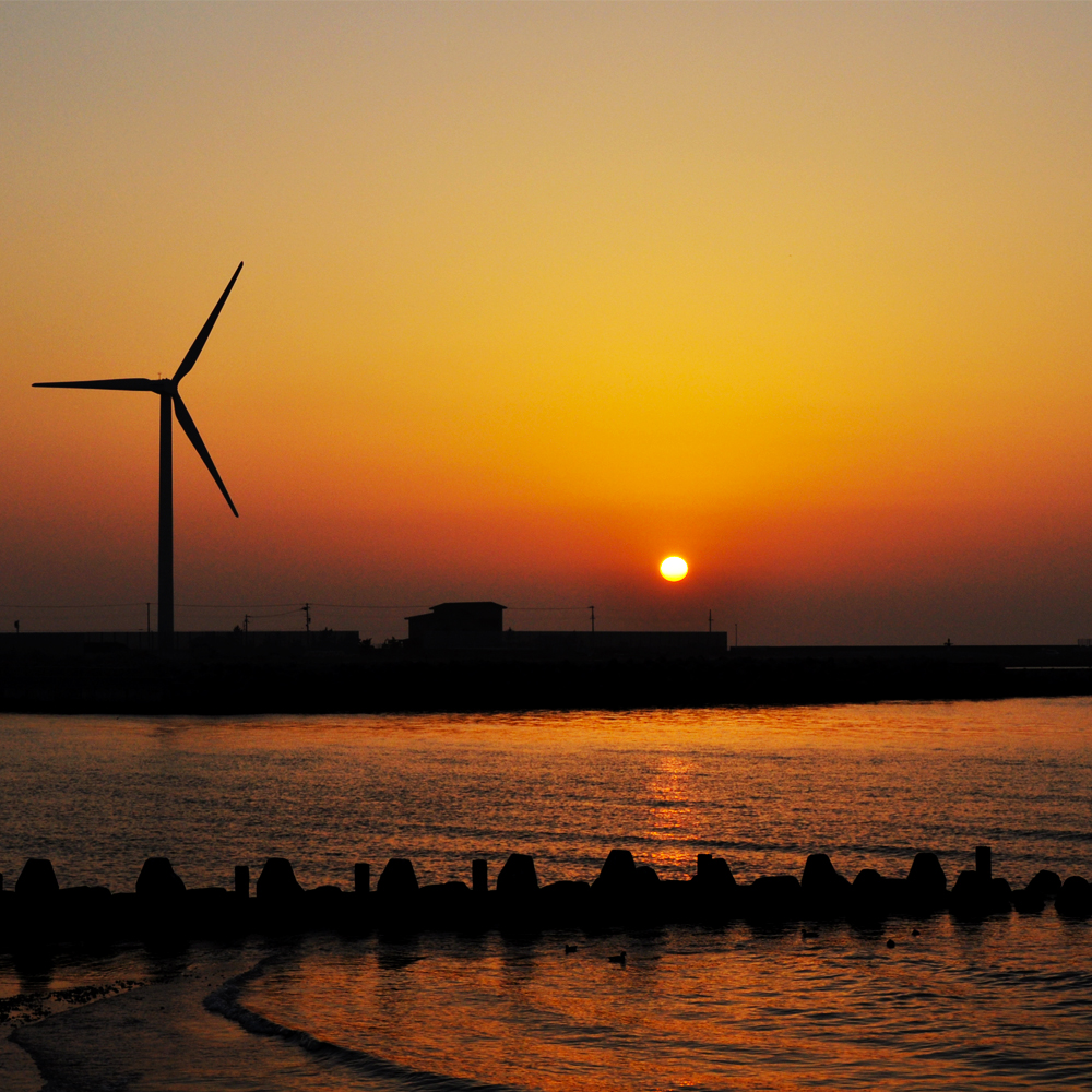 愛犬を想ってアルファベットを考える!なるほどなぁ〜そう言う意味があるんだ!!素敵です。