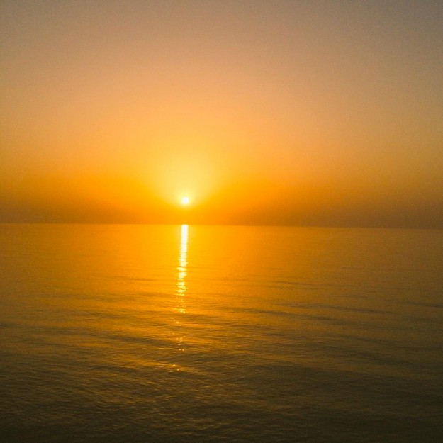 淡路島に遊びに来たついでに「愛犬のオーダーメイド服」を作りませんか？