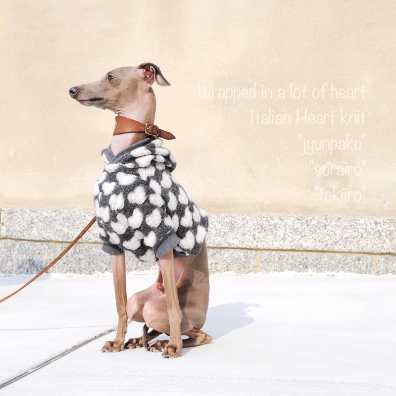 「たくさんの愛に包まれてほしい」そんな気持ちをお洋服に込めて、愛犬に贈りませんか？｜イタリア製ハートニット