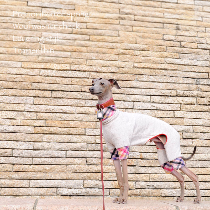 新作犬服｜”春に着る”ならどっち？「ウールワッシャーチェック重ね着風」「大きなカラフルドット」