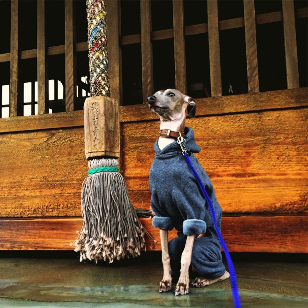 3月1日に感じたこと。「冬があるから、春が待ち遠しい。」