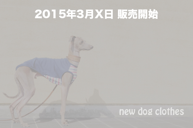 「犬服」杢天竺ボーダーニットが選べる３タイプ×３カラーにリニューアルしました