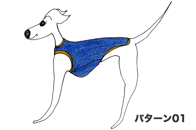「犬服」杢天竺ボーダーニットが選べる３タイプ×３カラーにリニューアルしました