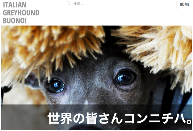 「ITALIAN GREYHOUND BUONO!』だけのホームページ、それは私達とＢ！の成長記録（アルバム）なんです。