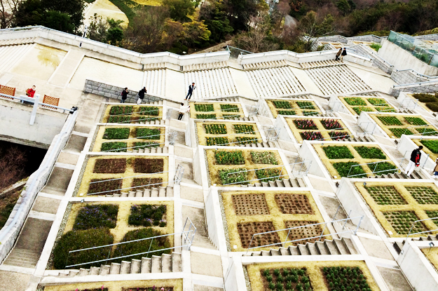 「淡路島でお花見」お茶目なミニピン桜さん、春らしい桜色のお洋服でお洒落して、淡い桜の花びらに包まれる。これぞ桜桜桜で桜さん♪