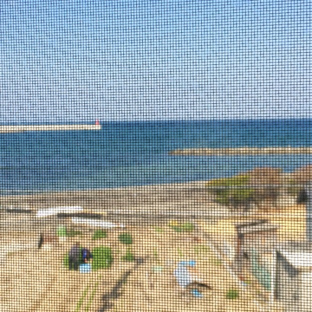 よっちゃん、朝からお爺さんに誘われて「人生初の大根の収穫」にすっぴんで出かける。