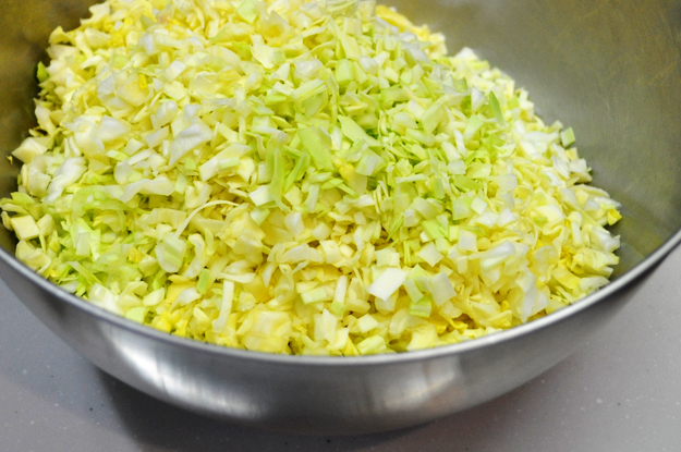 「ペット看護士」のよっちゃんが愛犬Ｂ！の為に考えたご飯レシピ大公開！”口臭改善効果があった”